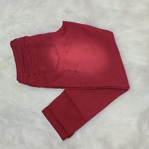 Zanadi Burgundy Distressed Skinny Jeans
